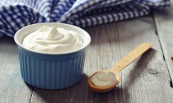Греческий йогурт: приготовление и использование в кулинарии